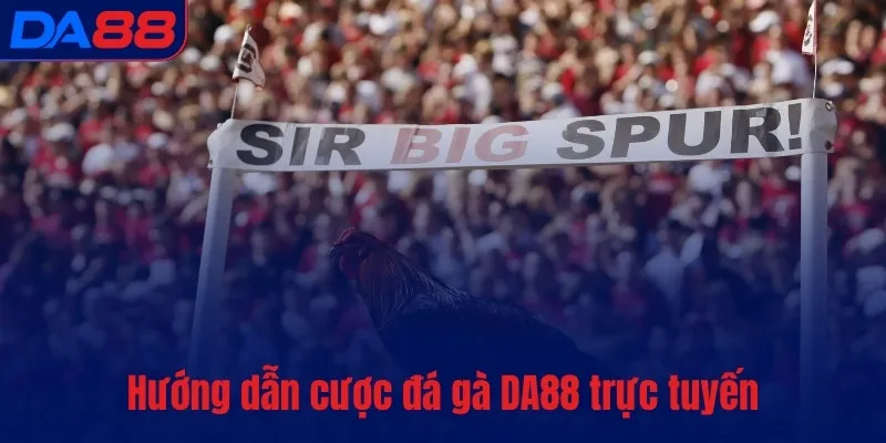 Đá gà DA88 – Bùng nổ đam mê, cháy hết mình từng phút giây - BETASTRO69.CASA
