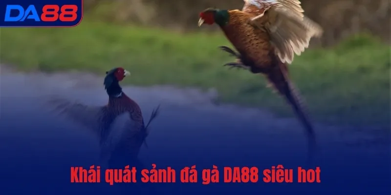 Đá gà DA88 – Bùng nổ đam mê, cháy hết mình từng phút giây - BETASTRO69.CASA