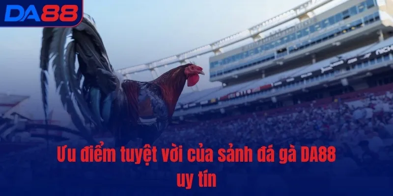Đá gà DA88 – Bùng nổ đam mê, cháy hết mình từng phút giây - BETASTRO69.CASA